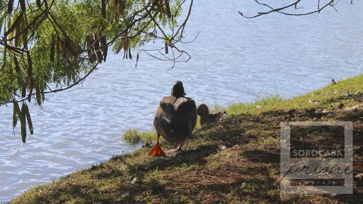 Foto 9 de Casa de Condomínio com 5 quartos à venda, 1330m2 em Aracoiaba Da Serra - SP
