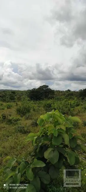 Foto 5 de Fazenda / Haras à venda, 16777215m2 em Centro, Alto Araguaia - MT
