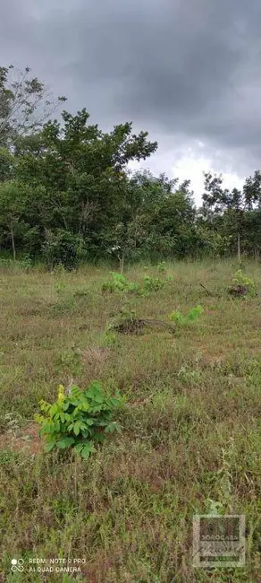 Foto 9 de Fazenda / Haras à venda, 16777215m2 em Centro, Alto Araguaia - MT