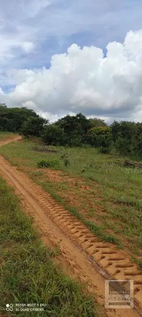 Foto 8 de Fazenda / Haras à venda, 16777215m2 em Centro, Alto Araguaia - MT