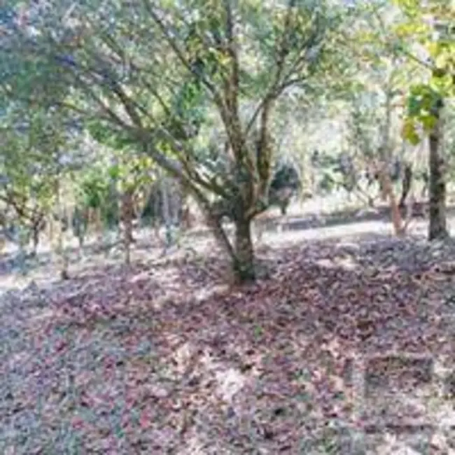 Foto 5 de Terreno / Lote à venda, 1000m2 em Jardim Novo Mundo, Sorocaba - SP