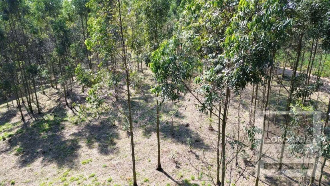 Terreno / Lote à venda, 1000m2 em Ibiuna - SP - imagem 4 Foto 4 de Terreno / Lote à venda, 1000m2 em Ibiuna - SP