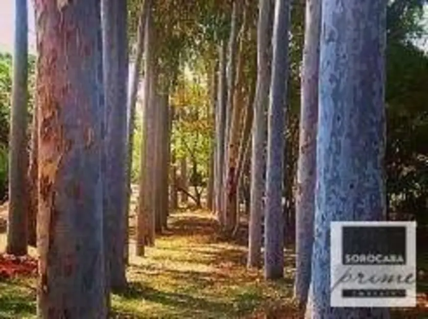 Foto 8 de Casa de Condomínio com 3 quartos à venda, 500m2 em Jardim Ibiti do Paço, Sorocaba - SP