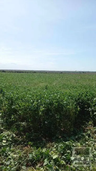 Foto 4 de Fazenda / Haras à venda, 16777215m2 em Agua Boa - MT