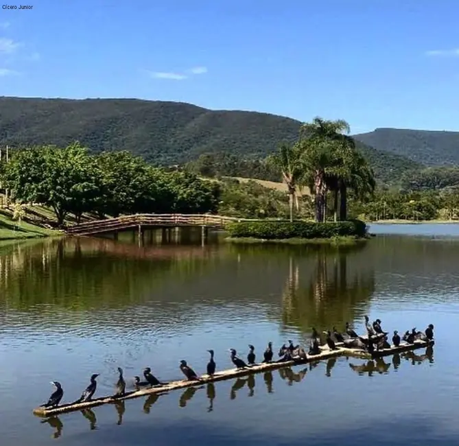Foto 6 de Terreno / Lote à venda, 520m2 em Condomínio Reserva da Serra, Jundiai - SP