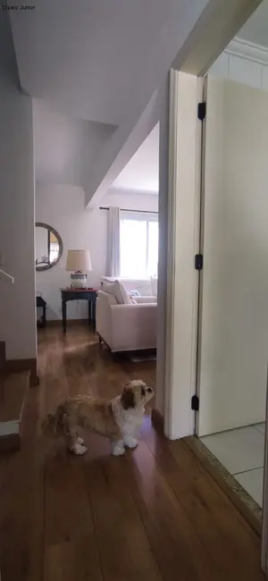 Foto 8 de Casa de Condomínio com 3 quartos à venda, 122m2 em Jardim Ermida II, Jundiai - SP