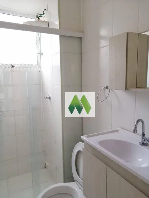 Apartamento para alugar em Jardim Palos Verdes, Botucatu - SP - imagem 6 Foto 6 de Apartamento para alugar em Jardim Palos Verdes, Botucatu - SP