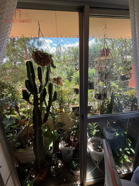 Apartamento com 3 quartos à venda, 72m2 em Parque Munhoz, São Paulo - SP - imagem 6 Foto 6 de Apartamento com 3 quartos à venda, 72m2 em Parque Munhoz, São Paulo - SP