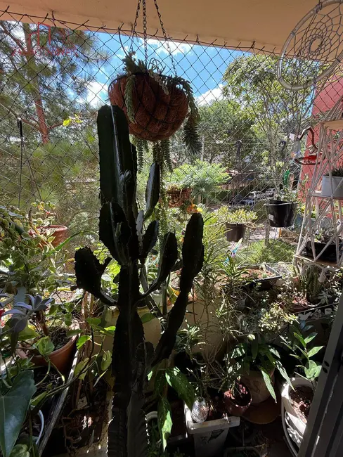 Apartamento com 3 quartos à venda, 72m2 em Parque Munhoz, São Paulo - SP - imagem 7 Foto 7 de Apartamento com 3 quartos à venda, 72m2 em Parque Munhoz, São Paulo - SP