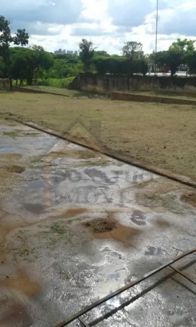 Foto 9 de Sala Comercial para alugar, 350m2 em Ribeirao Preto - SP