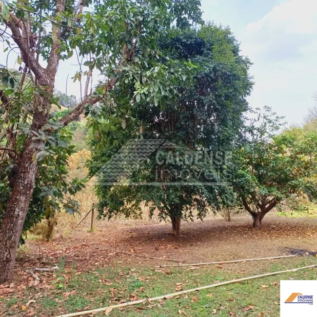 Foto 2 de Sítio / Rancho com 4 quartos à venda, 100m2 em Bandeira Do Sul - MG