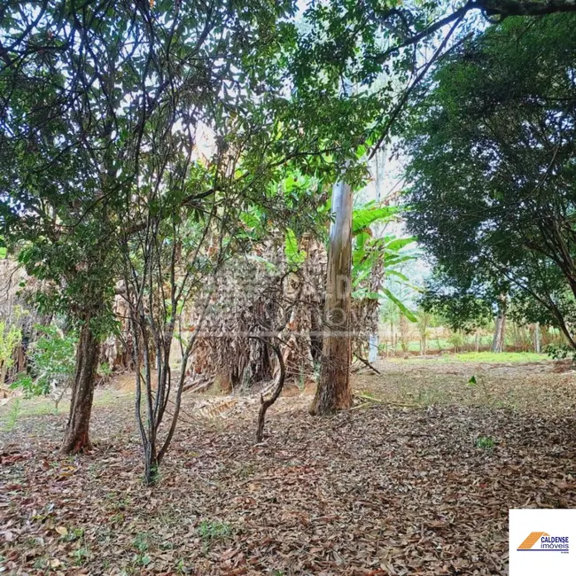 Foto 3 de Sítio / Rancho com 4 quartos à venda, 100m2 em Bandeira Do Sul - MG