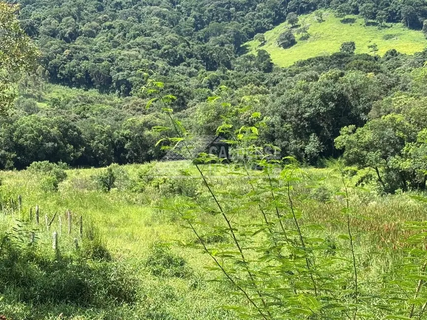 Sítio / Rancho à venda em Caldas - MG - imagem 5 Foto 5 de Sítio / Rancho à venda em Caldas - MG