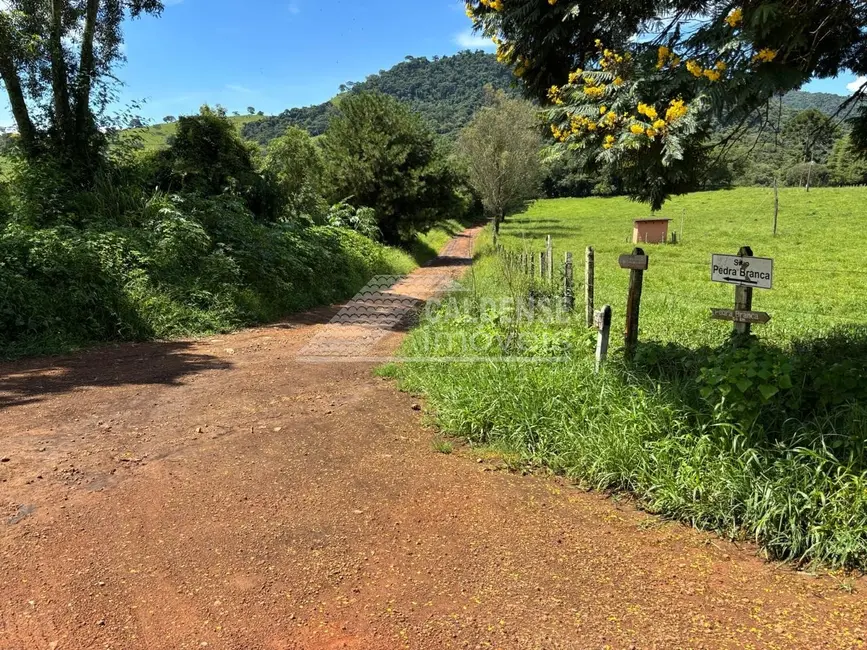 Foto 1 de Sítio / Rancho à venda em Caldas - MG