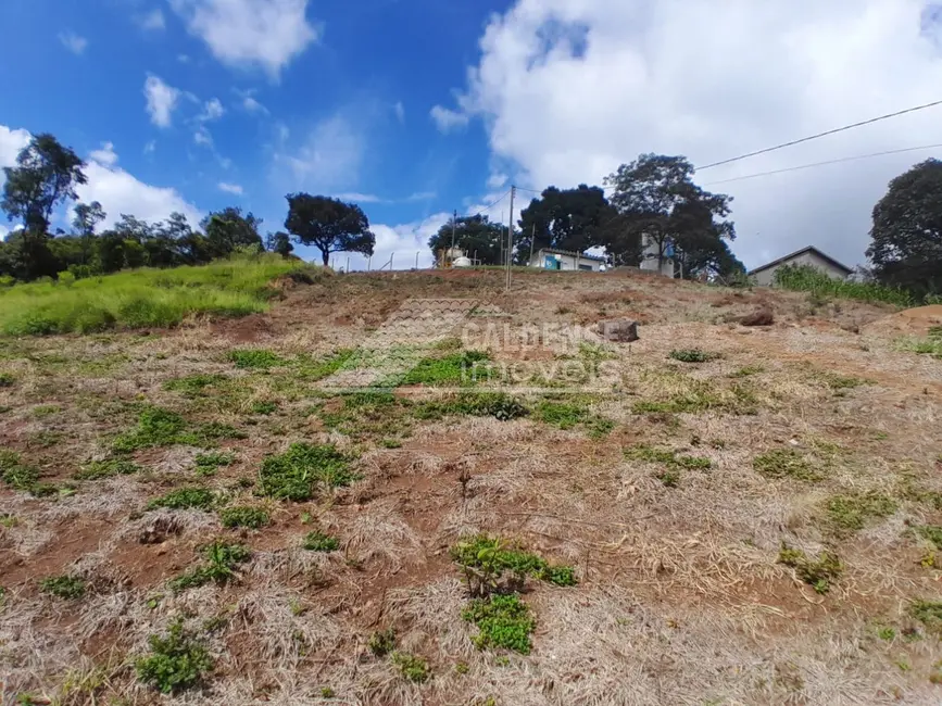 Foto 3 de Terreno / Lote à venda em Aguas Da Prata - SP