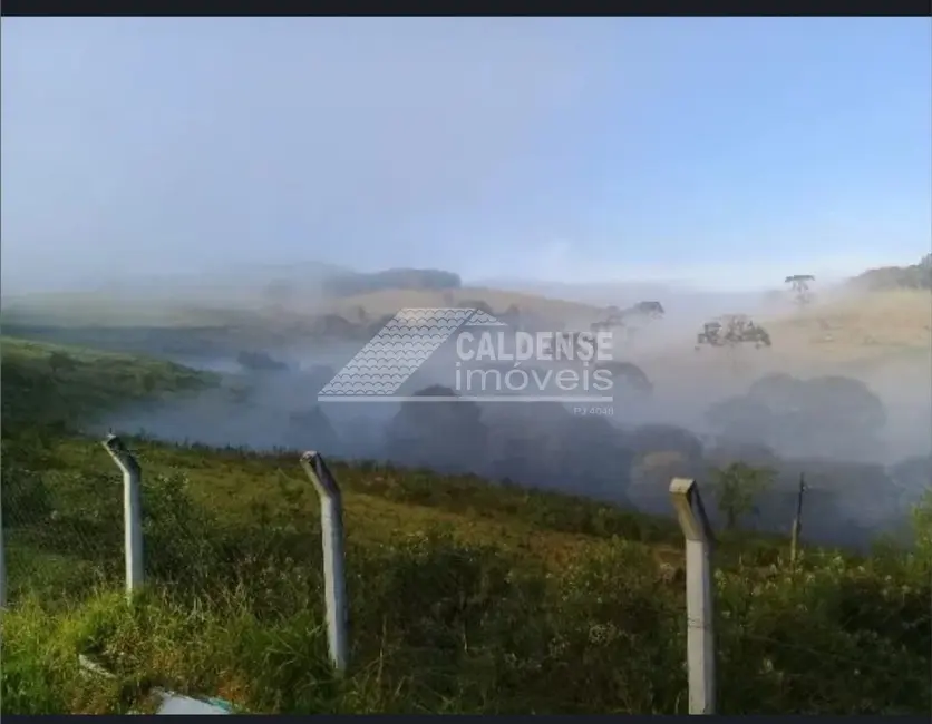 Foto 7 de Chácara com 4 quartos à venda em Ibitiura De Minas - MG