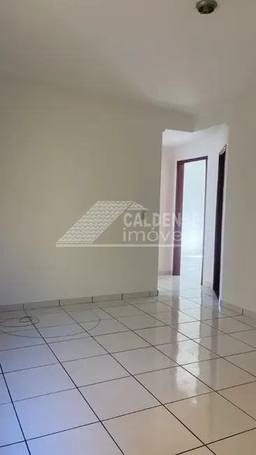 Apartamento com 2 quartos para alugar em Jardim Amaryllis, Pocos De Caldas - MG - imagem 7 Foto 7 de Apartamento com 2 quartos para alugar em Jardim Amaryllis, Pocos De Caldas - MG