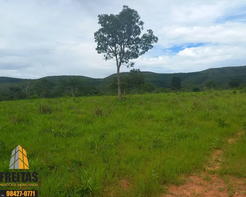 Fazenda / Haras com 3 quartos à venda, 47m2 em Buritis - MG - imagem 5 Foto 5 de Fazenda / Haras com 3 quartos à venda, 47m2 em Buritis - MG