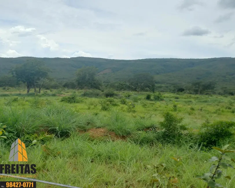 Fazenda / Haras com 3 quartos à venda, 47m2 em Buritis - MG - imagem 8 Foto 8 de Fazenda / Haras com 3 quartos à venda, 47m2 em Buritis - MG