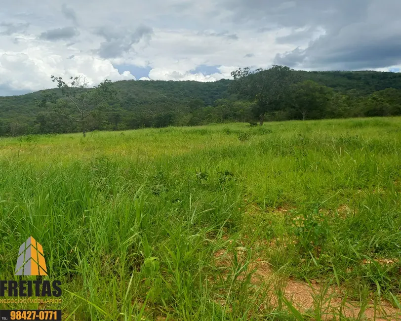 Fazenda / Haras com 3 quartos à venda, 47m2 em Buritis - MG - imagem 9 Foto 9 de Fazenda / Haras com 3 quartos à venda, 47m2 em Buritis - MG