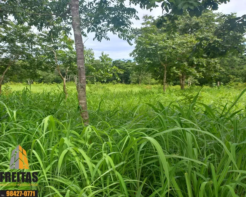 Fazenda / Haras com 3 quartos à venda, 47m2 em Buritis - MG - imagem 7 Foto 7 de Fazenda / Haras com 3 quartos à venda, 47m2 em Buritis - MG