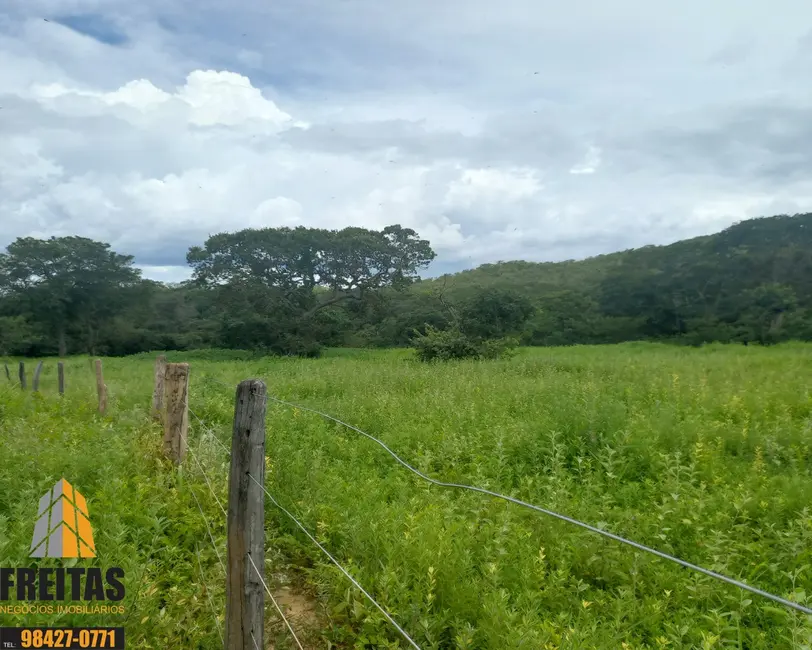 Fazenda / Haras com 3 quartos à venda, 139m2 em Buritis - MG - imagem 5 Foto 5 de Fazenda / Haras com 3 quartos à venda, 139m2 em Buritis - MG