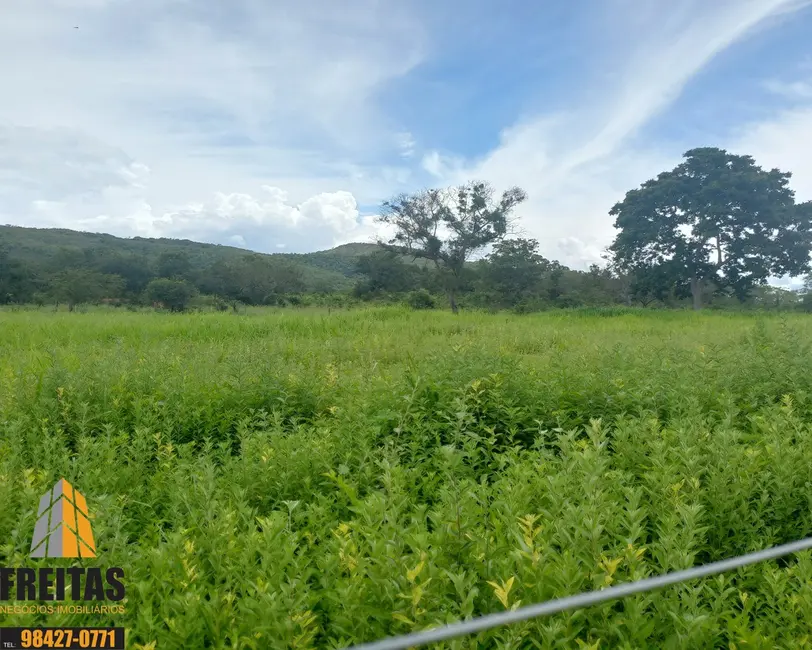 Fazenda / Haras com 3 quartos à venda, 139m2 em Buritis - MG - imagem 6 Foto 6 de Fazenda / Haras com 3 quartos à venda, 139m2 em Buritis - MG