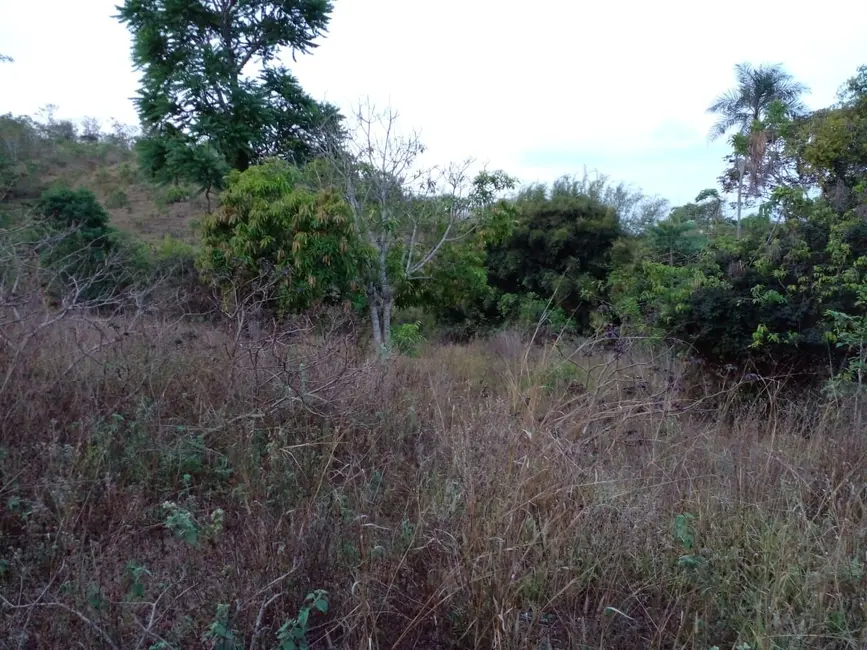 Foto 9 de Fazenda / Haras à venda, 68m2 em Área Rural de Luziânia, Luziania - GO