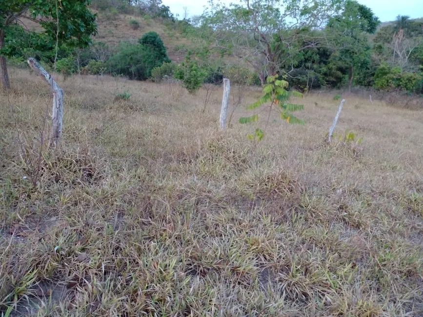 Foto 5 de Fazenda / Haras à venda, 68m2 em Área Rural de Luziânia, Luziania - GO