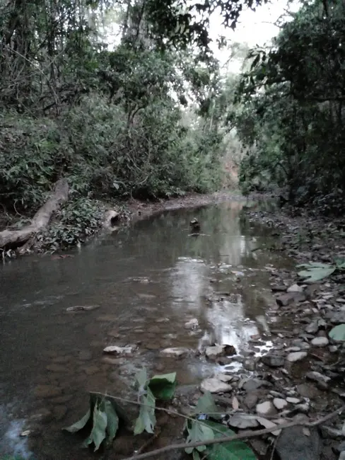 Foto 8 de Fazenda / Haras à venda, 68m2 em Área Rural de Luziânia, Luziania - GO