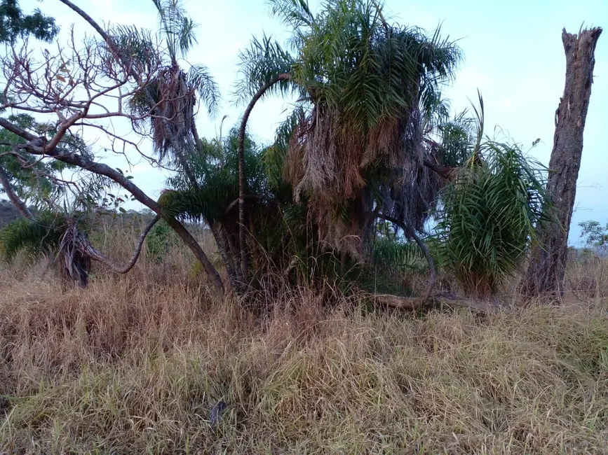 Foto 3 de Fazenda / Haras à venda, 68m2 em Área Rural de Luziânia, Luziania - GO