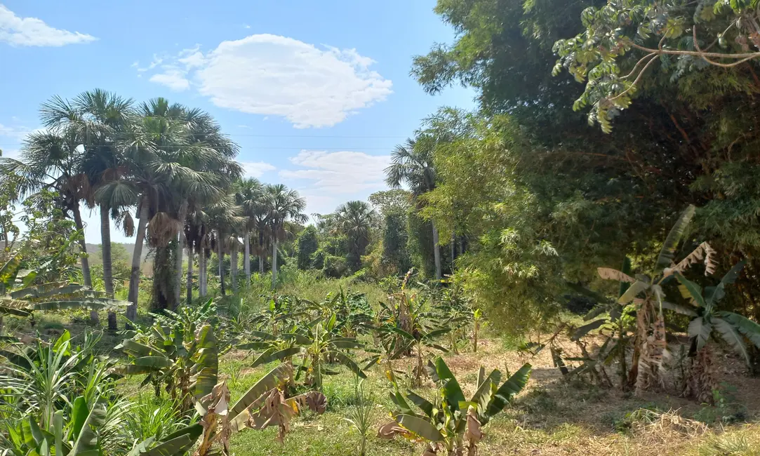 Foto 5 de Fazenda / Haras com 3 quartos à venda, 72m2 em Área Rural de Luziânia, Luziania - GO