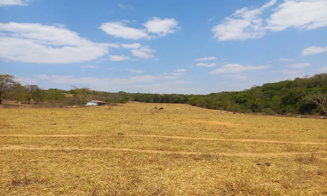 Foto 4 de Fazenda / Haras com 3 quartos à venda, 72m2 em Área Rural de Luziânia, Luziania - GO