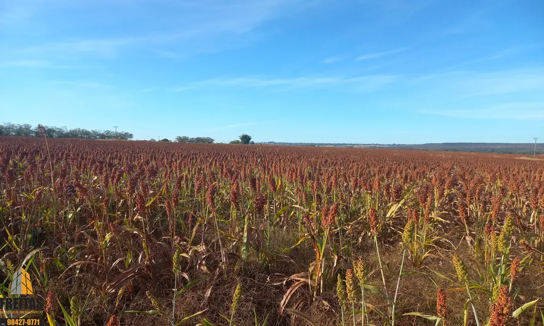 Terreno / Lote à venda, 300m2 em Área Rural de Cidade Ocidental, Cidade Ocidental - GO - imagem 5 Foto 5 de Terreno / Lote à venda, 300m2 em Área Rural de Cidade Ocidental, Cidade Ocidental - GO