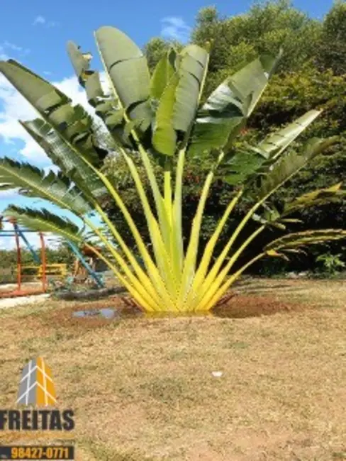 Chácara com 2 quartos à venda, 20000m2 em Jardim Lago Azul, Novo Gama - GO - imagem 4 Foto 4 de Chácara com 2 quartos à venda, 20000m2 em Jardim Lago Azul, Novo Gama - GO