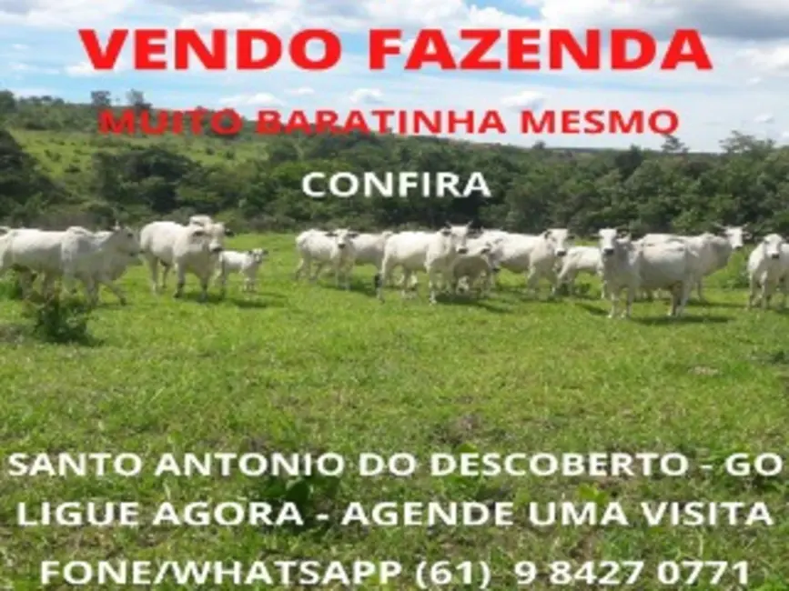Foto 1 de Fazenda / Haras à venda, 180m2 em Área Rural de Santo Antônio do Descoberto, Santo Antonio Do Descoberto - GO
