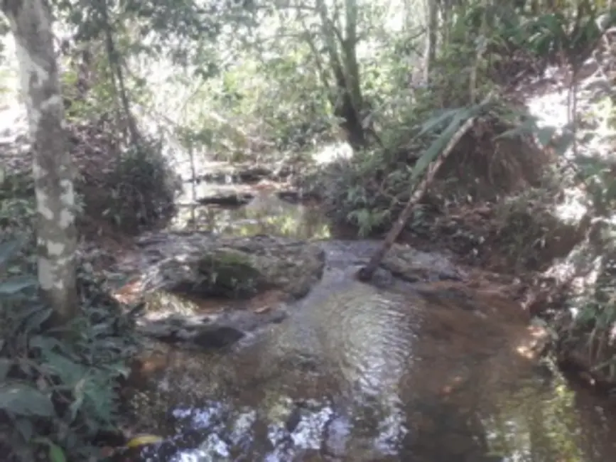 Foto 4 de Fazenda / Haras à venda, 180m2 em Área Rural de Santo Antônio do Descoberto, Santo Antonio Do Descoberto - GO