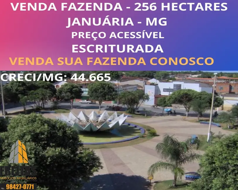 Foto 1 de Fazenda / Haras com 1 quarto à venda, 282m2 em Januaria - MG