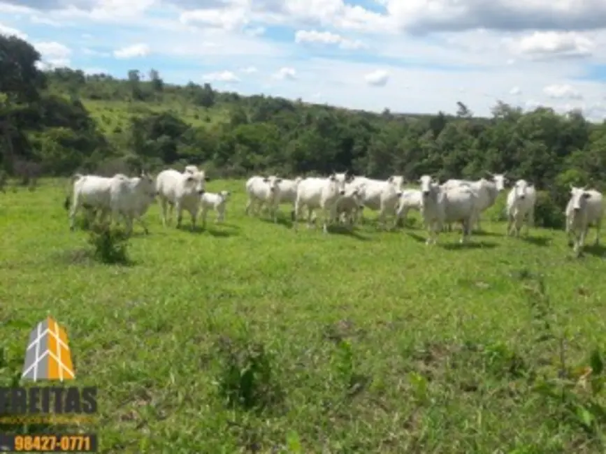 Foto 1 de Fazenda / Haras à venda, 180m2 em Santo Antonio Do Descoberto - GO
