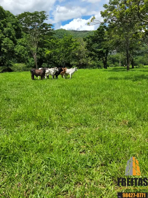 Fazenda / Haras com 3 quartos à venda, 99m2 em Unai - MG - imagem 4 Foto 4 de Fazenda / Haras com 3 quartos à venda, 99m2 em Unai - MG