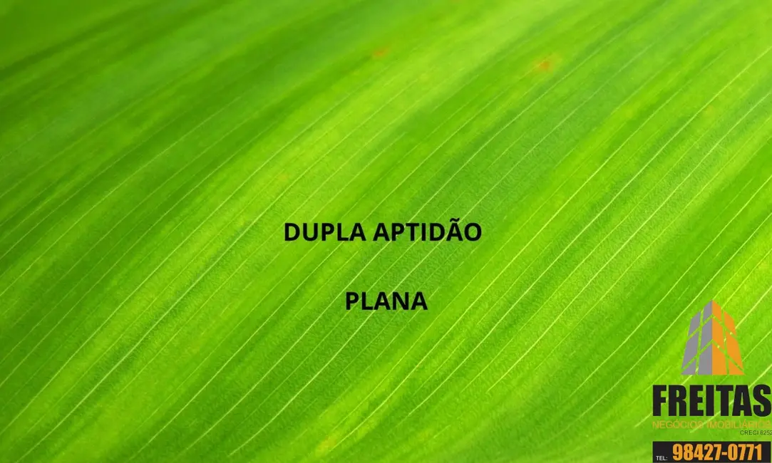 Foto 3 de Fazenda / Haras com 3 quartos à venda, 1450m2 em Chapada Gaucha - MG