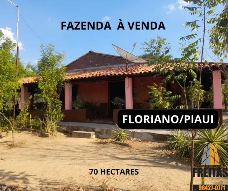 Foto 1 de Fazenda / Haras com 4 quartos à venda, 70m2 em Área Rural de Floriano, Floriano - PI