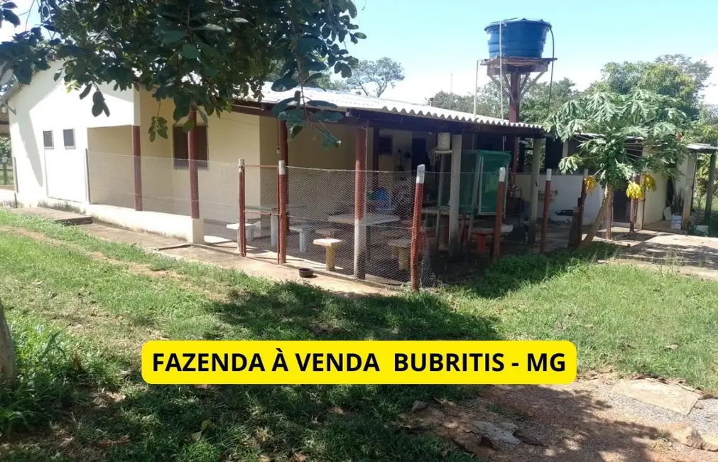 Foto 1 de Fazenda / Haras com 4 quartos à venda, 100m2 em Centro, Buritis - MG