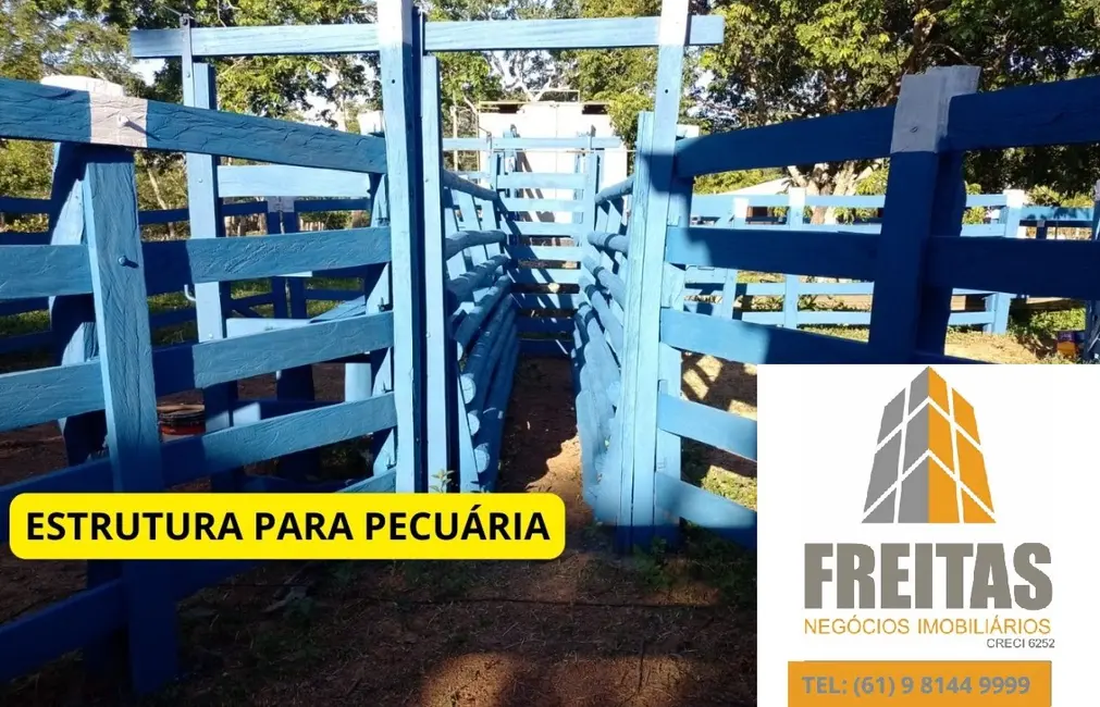 Fazenda / Haras com 4 quartos à venda, 100m2 em Centro, Buritis - MG - imagem 5 Foto 5 de Fazenda / Haras com 4 quartos à venda, 100m2 em Centro, Buritis - MG