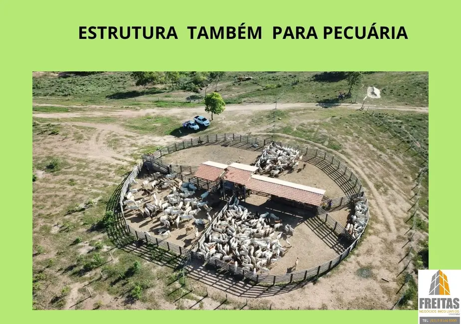 Foto 4 de Fazenda / Haras com 8 quartos à venda, 4700m2 em Urucuia - MG
