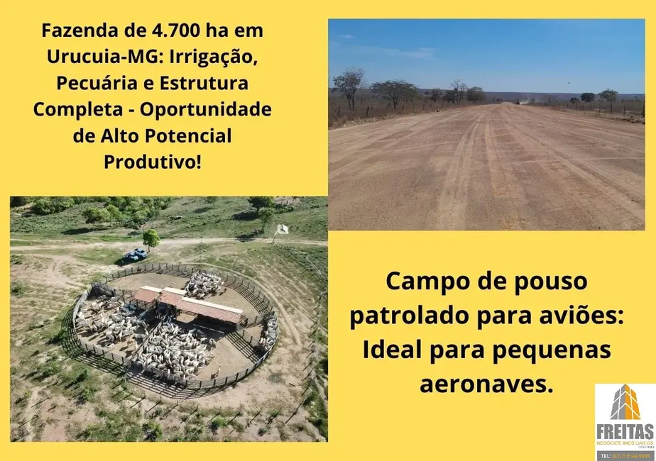 Foto 1 de Fazenda / Haras com 8 quartos à venda, 4700m2 em Urucuia - MG