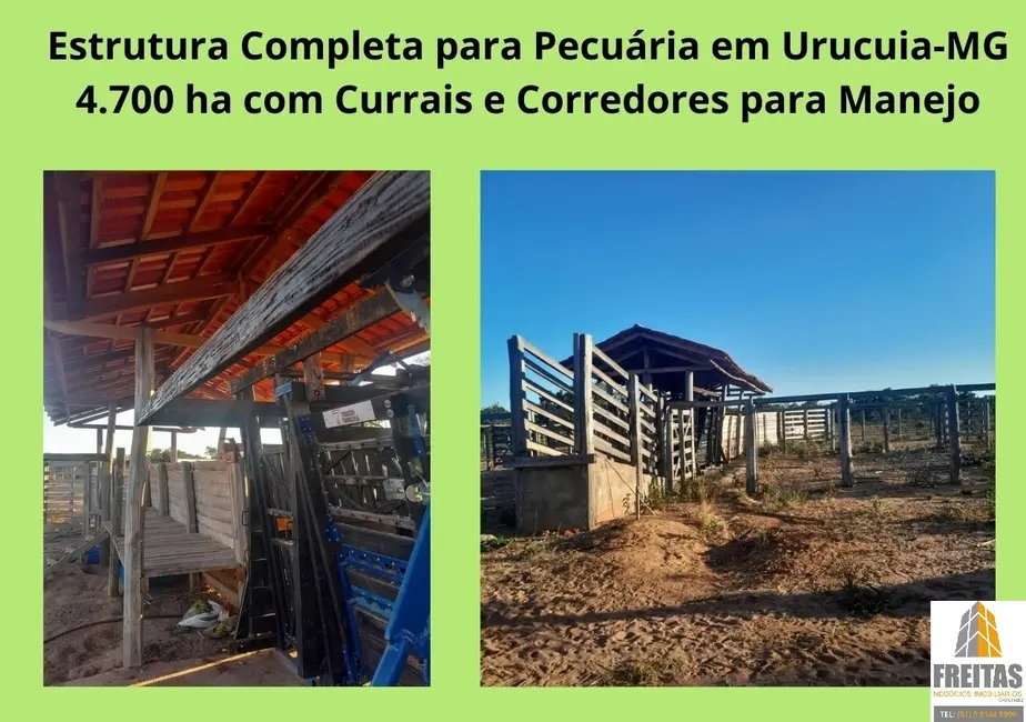 Foto 5 de Fazenda / Haras com 8 quartos à venda, 4700m2 em Urucuia - MG