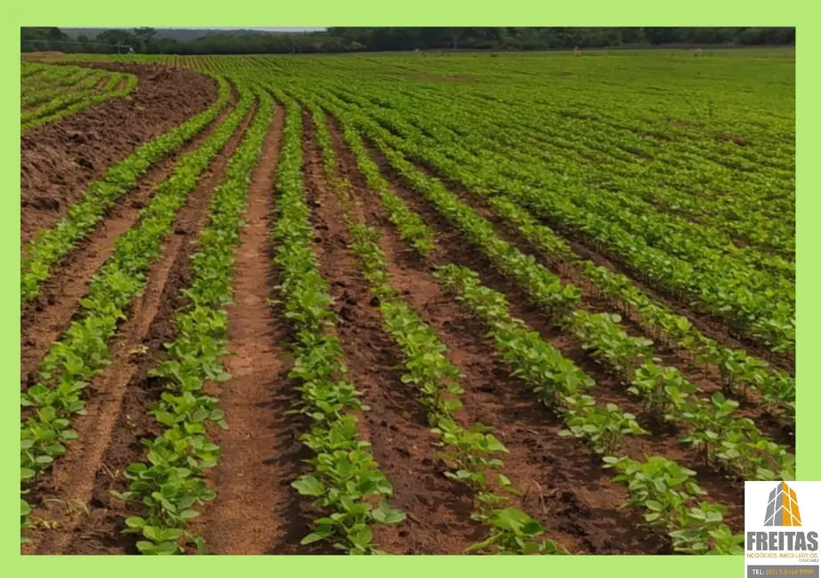 Foto 2 de Fazenda / Haras com 3 quartos à venda, 475m2 em Sambaiba - MA