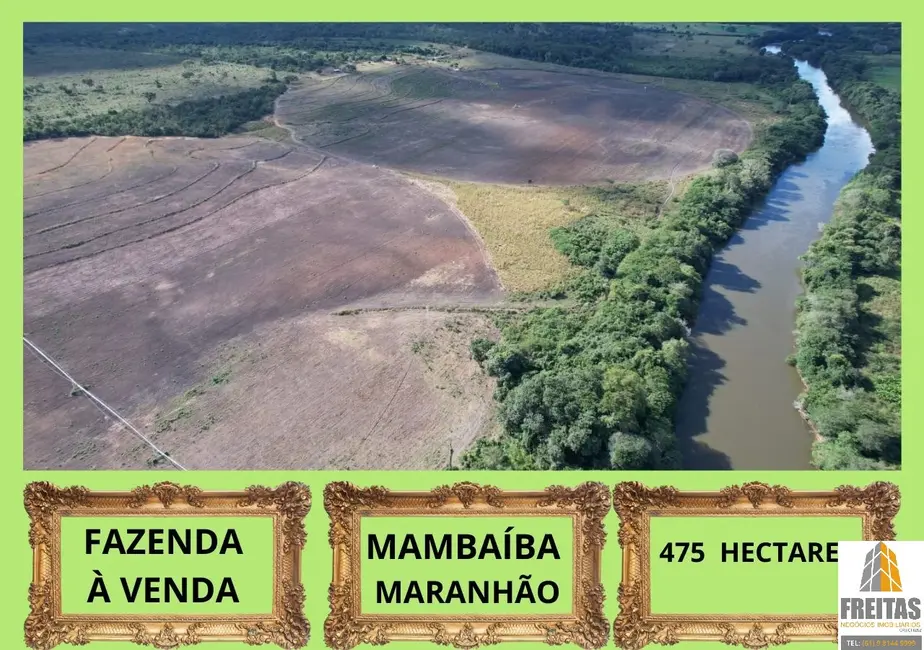 Foto 1 de Fazenda / Haras com 3 quartos à venda, 475m2 em Sambaiba - MA