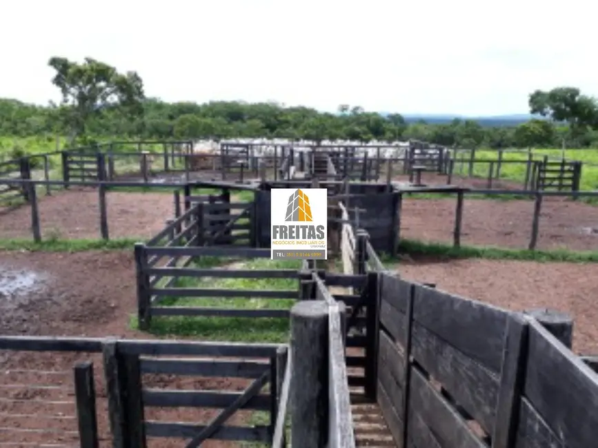 Foto 1 de Fazenda / Haras com 3 quartos à venda, 1186m2 em Natividade - TO